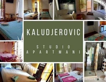 Apartmaji Kaluđerović - NA VOLJO DO 28.8.2021, zasebne nastanitve v mestu Igalo, Črna gora - open house ad real estate flyer - Made with Poster